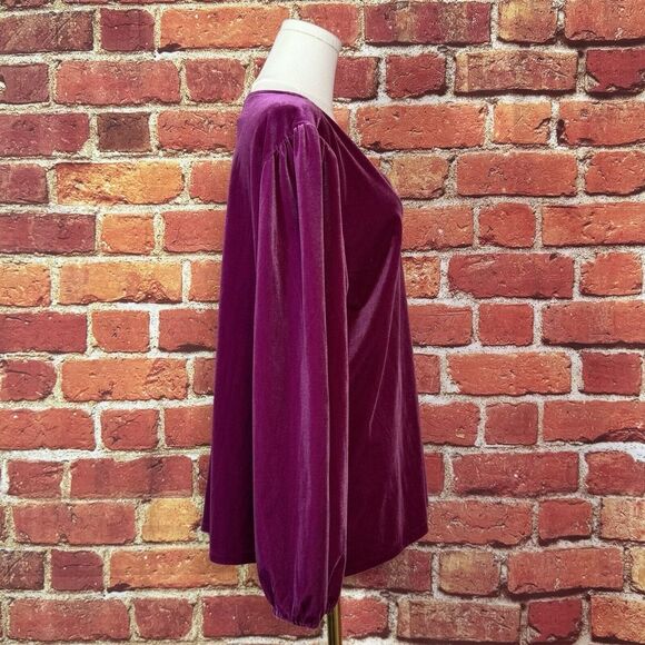 LOFT Women's Purple Velour Long Sleeve‎ V Neck Stretch Size XL NWT $55 - Picture 5 of 12